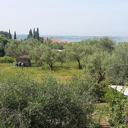 Apartma Iva Piran Buitenkant foto