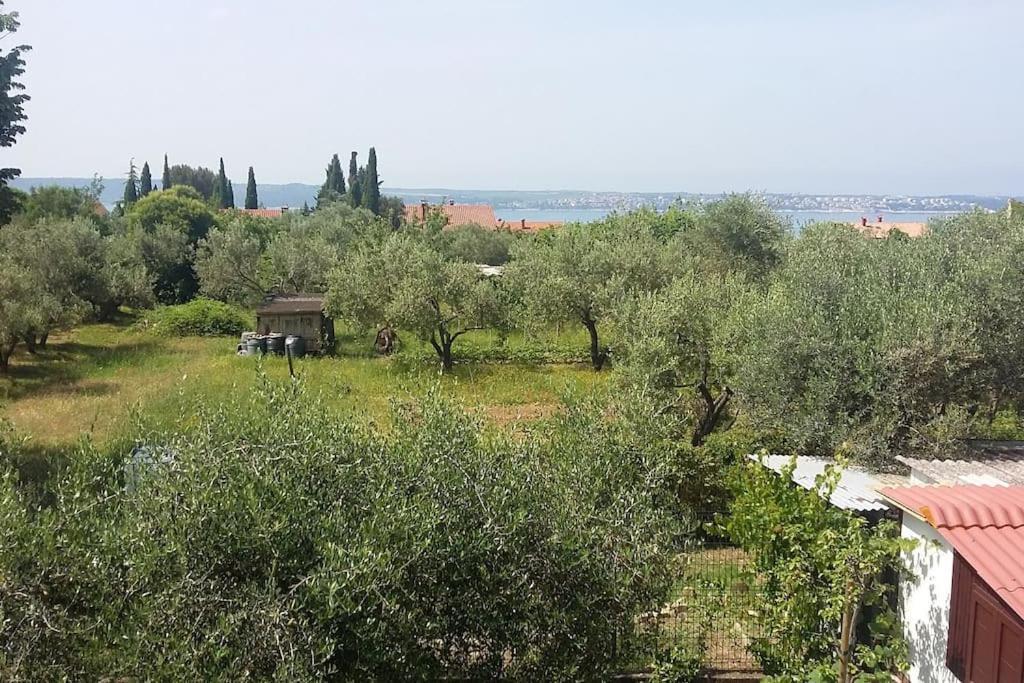 Apartma Iva Piran Buitenkant foto