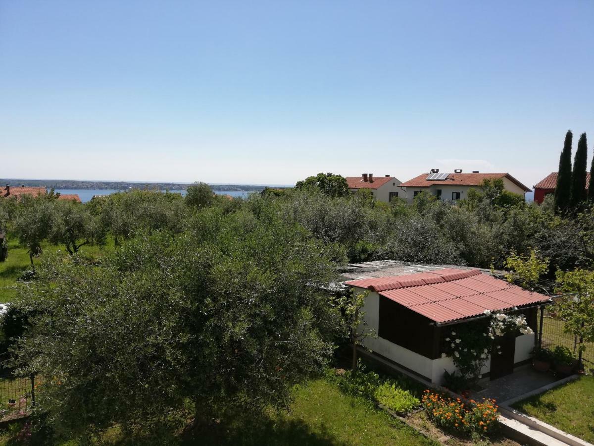 Apartma Iva Piran Buitenkant foto